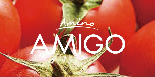 AMINO AMIGO