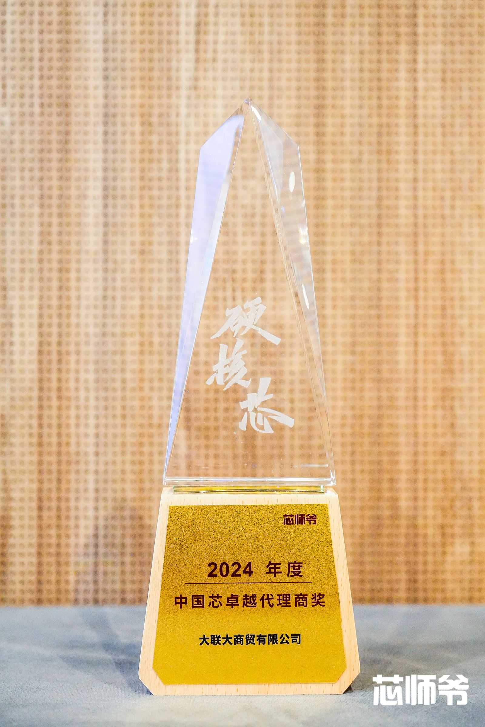 實力硬核！大聯大榮獲2024年度“中國芯卓越代理商獎”