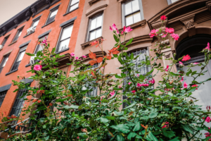 flowers in front of Brooklyn apartment