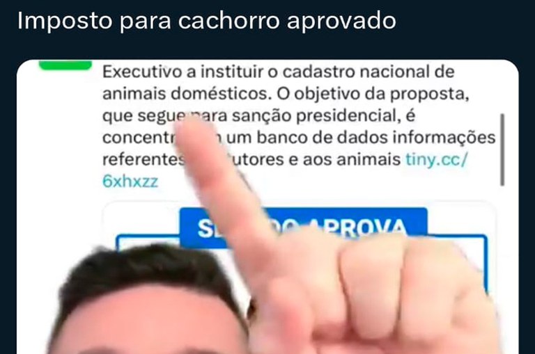 Projeto aprovado pelo Senado não cria imposto para donos de cães