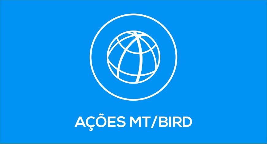 Ações MT/BIRD