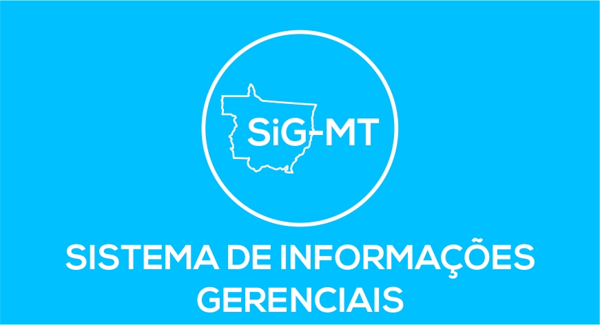 Sistema de Informações Gerenciais