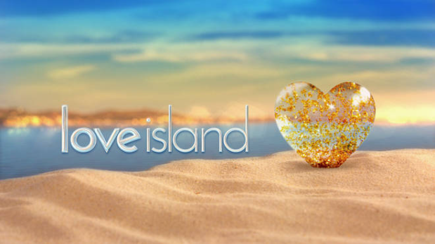 Logo di Winter Love Island