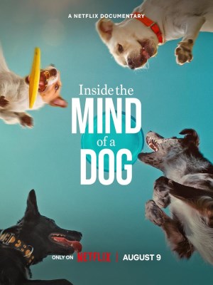 Những Chú Chó Nghĩ Gì | Inside the Mind of a Dog (2024)