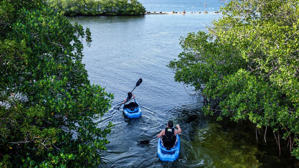 Key Largo is a great place to look for wildlife from above or below the water (Credit: Jeffrey Isaac Greenberg 8+/Alamy)