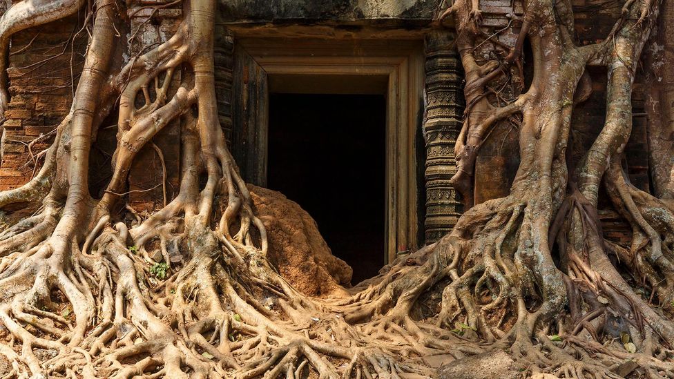 Prasat Pram is a vine-strangled resthouse found along the East Royal Road (Credit: Alamy)