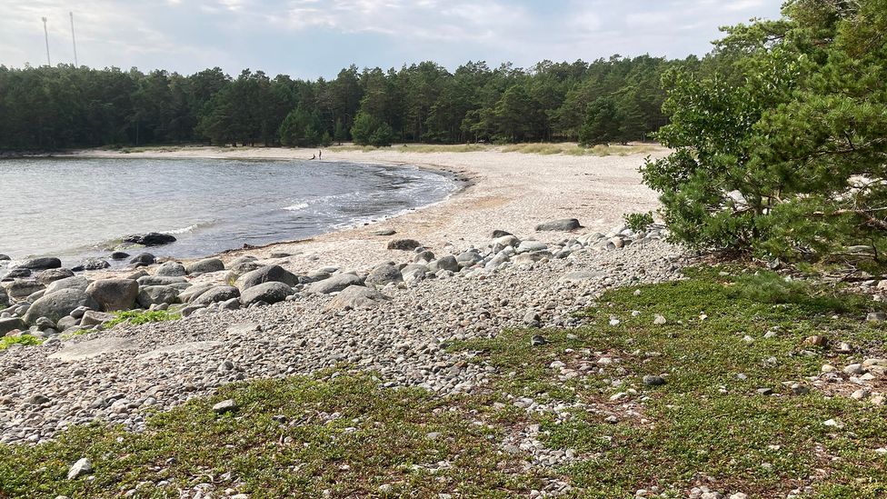 Nåttarö is home to pine- and birch-fringed white-sand beaches (Credit: Luke Waterson)