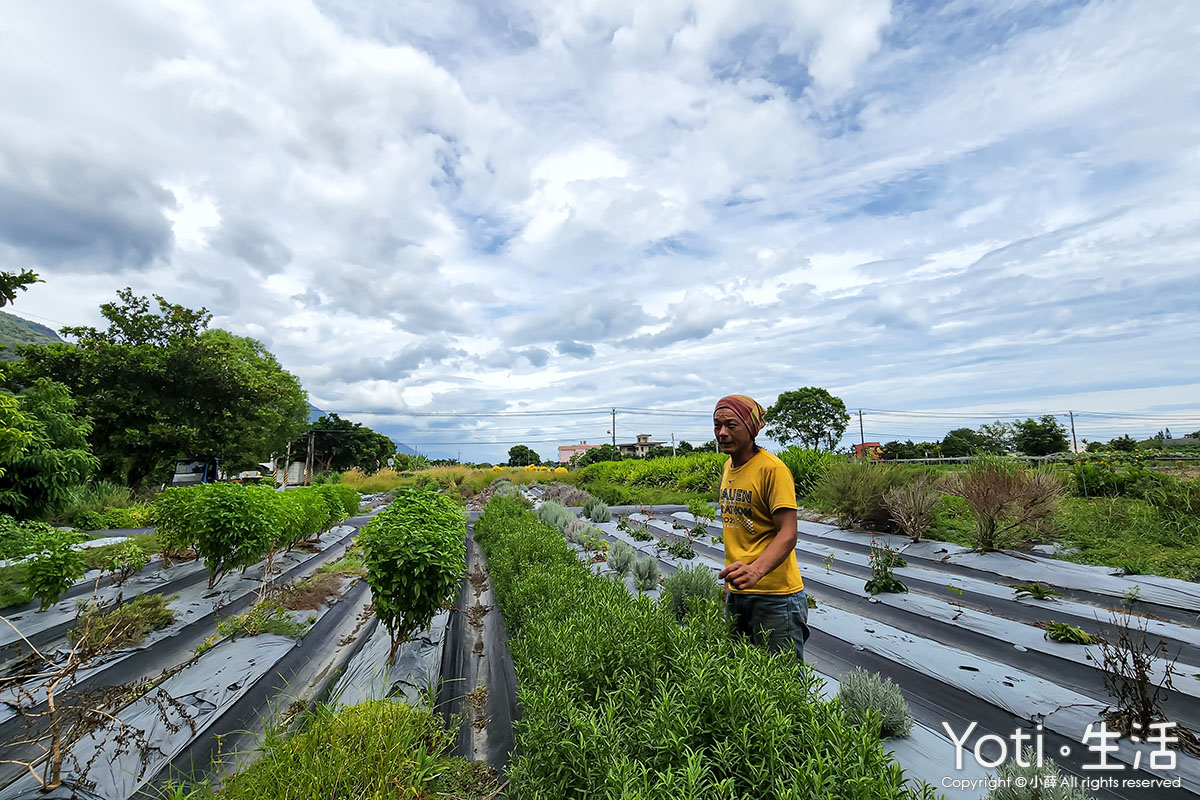 [花蓮農村好生活] 禾亮家香草創意坊 | 從香草田到餐桌的體驗